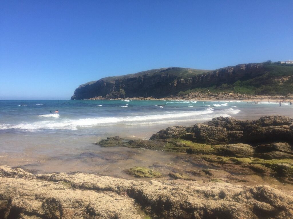 Qué playas de Cantabria admiten perros